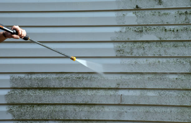 Best Sidewalk and Walkway Cleaning  in Nd Point, WI